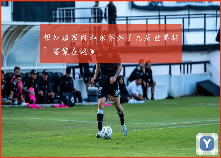 想知道塞内加尔参加了几届世界杯？答案在这里